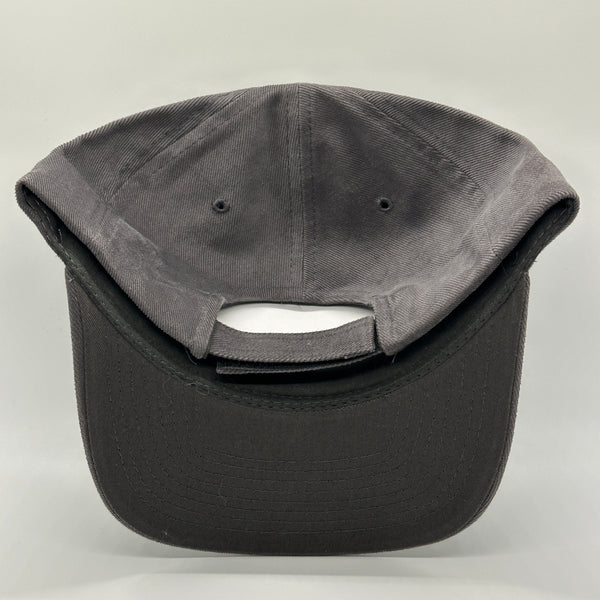 THE GRAY VINNY BLUE - The Blue Bus Vintage Mascot Strapback