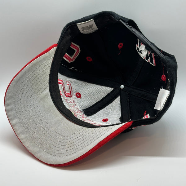 Top of The World Ohio State University Wool Buckeyes Snapback