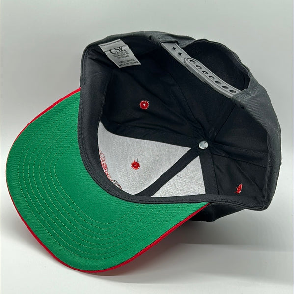 1990s Red Dog Beer Twill Snapback